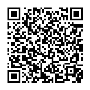 迅速扬起手大片符文从地上窜出交织拧成一个坚实的牢笼把黑仔困住二维码生成