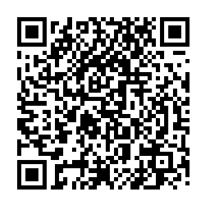 还没有给这台全新出炉的晶铠取名字呢这是我第一次在圣约同盟华丽登场二维码生成