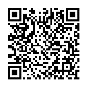 这一刻他总算是体会到了寒林内心的矛盾所在了二维码生成