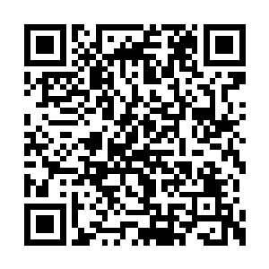 这一次就是完全建立在主动基础上的挖坑与设局二维码生成