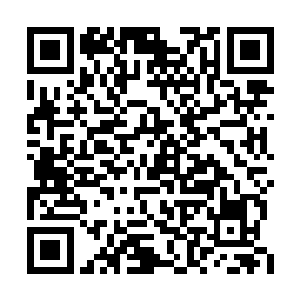 这上代海皇显然是被现任海皇通过某种方法改造二维码生成