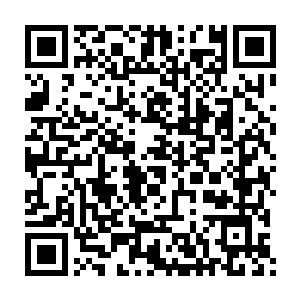 这也就代表着这些嘉宾的出现都是用实际行动表示他们对雨果的支持二维码生成