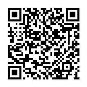 这和自己刚刚从杨程程那里得到的信息不一样啊二维码生成