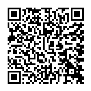 这时间弗戈斯带着来参加这届研讨会的众星界天才们在学院内到处转悠看风景二维码生成