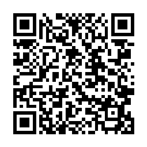 这样毫无营养的一问一答模式得到什么时候才能有结果啊二维码生成