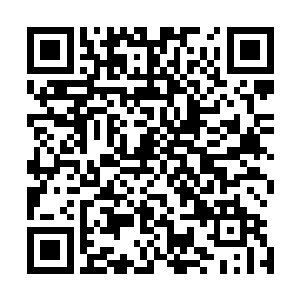 这核弹已经成为了白羽门所有弟子们一个无法淡定的存在了二维码生成