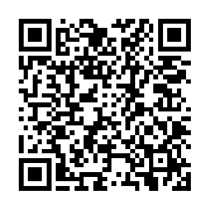 这次却为了得到碎心泪将信任她的白瞳儿伤的体无完肤二维码生成