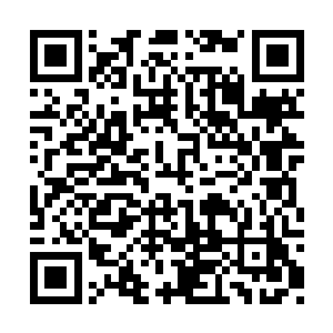 这次受到家族指挥带队到硫磺山城执行外交任务二维码生成
