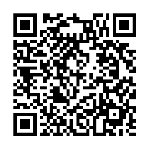 这满血的功能可能是目前人族所根本无法对抗的所在二维码生成