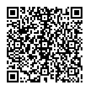 这边足以说明现在他的实力根本没有办法对抗的了那个让高慧变成这副模样的血族二维码生成