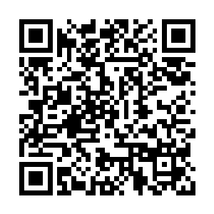 这面破旗子是羿界域一个修士在一条界河中找到二维码生成