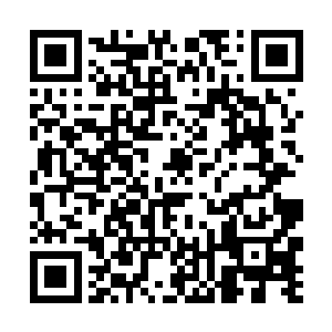 连界灵公会者集结了数代先辈的最强结界都能够破开二维码生成