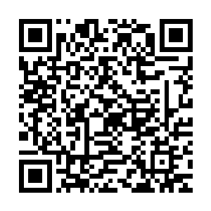 透过其上黑铁之力的封印可以看到里面似是有无数的血气在翻滚二维码生成