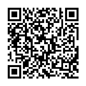那双可以以无比精准的动作操作机甲的手指……在颤抖着二维码生成