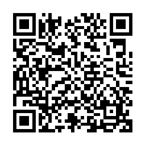 那就是高扬他们打算在枪展上看看有没有出什么最新的战斗用品二维码生成