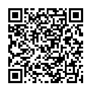 那所造成的波动绝对比和宋信战斗的波动还要恐怖二维码生成