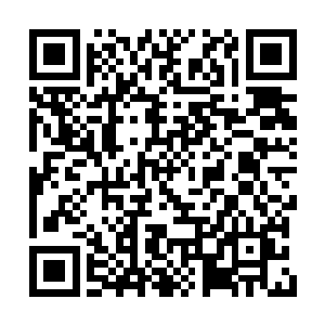 金吒木吒也担心再这么拖延下去会引起新的变数二维码生成