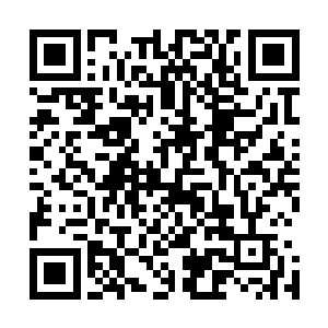 钱亚东借势又把当前政法系统存在的那些结构性问题介绍了二维码生成