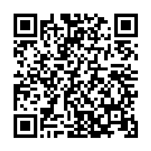 铁血异形和禁卫异形也仿佛承受了某种难以言喻的剧痛一样二维码生成