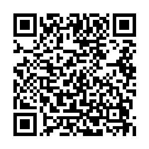 队伍已经为他之前的连番失误付出了惨重的代价二维码生成
