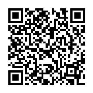 黄埔无恨也邀请叶秋跟他一起等待这次行动的结果二维码生成