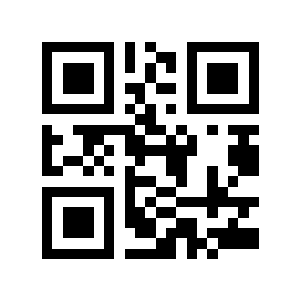 systemfailure二维码生成